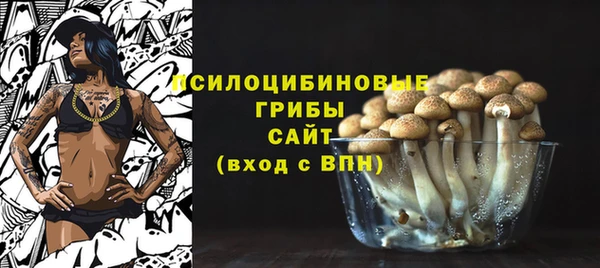 mix Богородицк